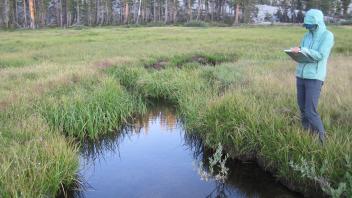 Middle Transect Right to Left Upstream