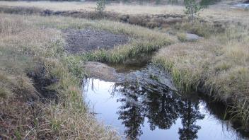 Middle Transect Upstream