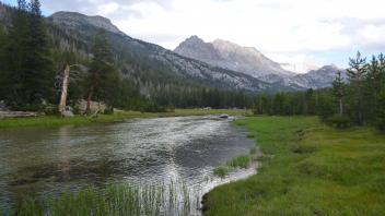 Middle Transect Upstream