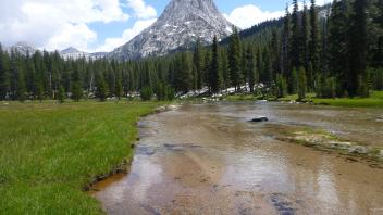 Middle Transect Upstream