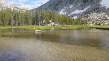 Middle Transect Upstream