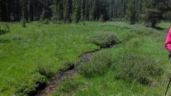 Middle Transect Upstream