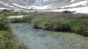 Middle Transect Upstream