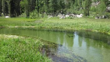 Middle Transect Upstream