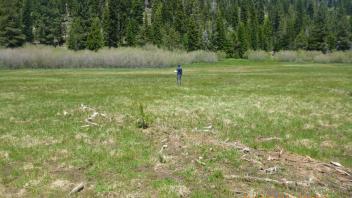 Middle transect (left to right)