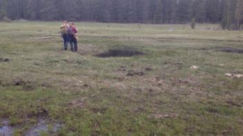 Middle transect (river left)