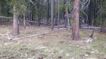 Middle transect (river right)