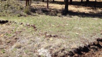Middle transect (river right)
