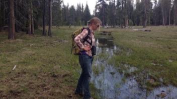 Middle transect (upstream)