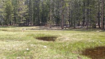 Middle transect, second channel (river right)