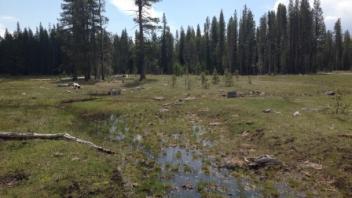 Middle transect, second channel (upstream)