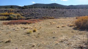 Middle vegetation transect - left to right