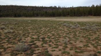Mud Flat (looking north toward Pine Creek)