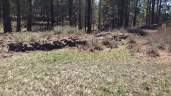 Old diversion dam