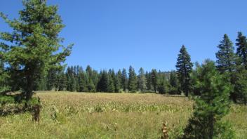 Open Area Above Polygon