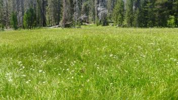 Lower Transect Overview (left to right)