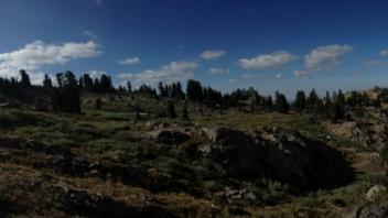 Panoramic of Polygon