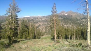 Photo point 2, down