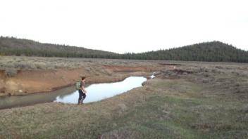 Pine Creek in McCoy Flat (downstream)