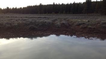 Pine Creek in McCoy Flat Old Road Crossing with Headcut