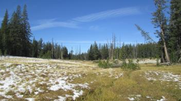 Point 1 Top of Meadow