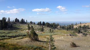Point 2 Down Meadow