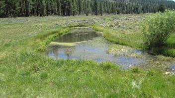 Pond created in channel from road