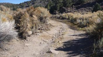 Potential former road crossing