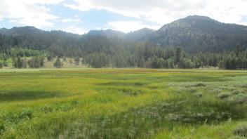 Remnant channel, west half of meadow, downstream