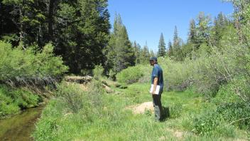 Riparian corridor, mid meadow, inset floodplain, looking downstream