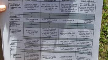 Scorecard assessment