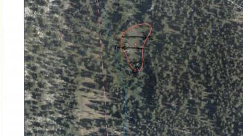 Scorecard with transects