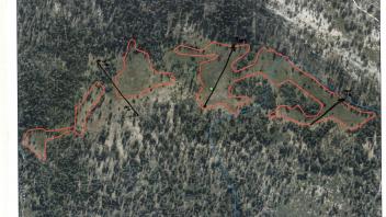 Scorecard with transects