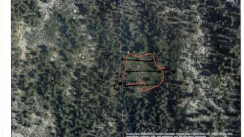 Scorecard with transects