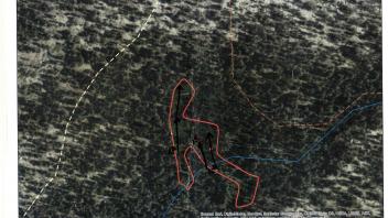 Scorecard with transects