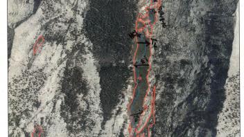 Scorecard with transects