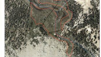 Scorecard with transects
