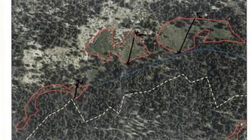 Scorecard with transects