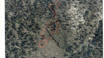 Scorecard with transects
