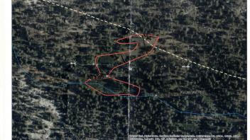 Scorecard with transects