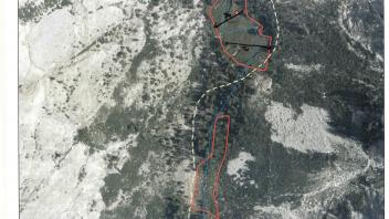 Scorecard with transects