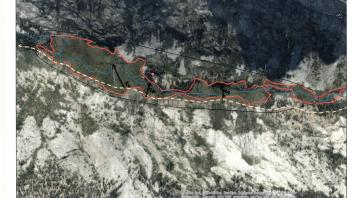 Scorecard with transects