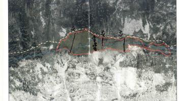 Scorecard with transects