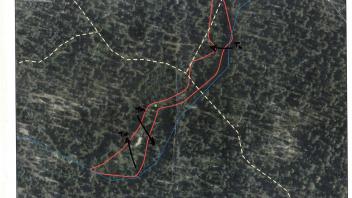 Scorecard with transects
