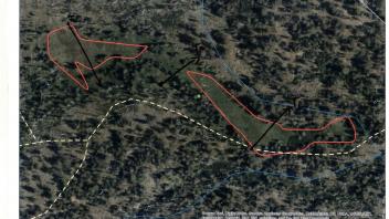 Scorecard with transects