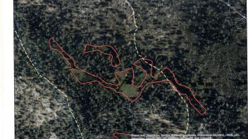 Scorecard with transects