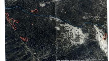 Scorecard with transects