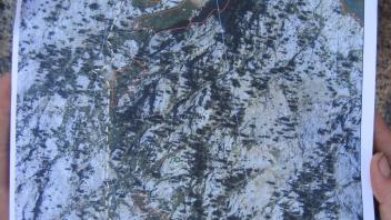 Scorecard with transects