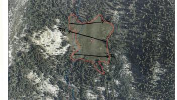 Scorecard with transects
