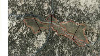 Scorecard with transects